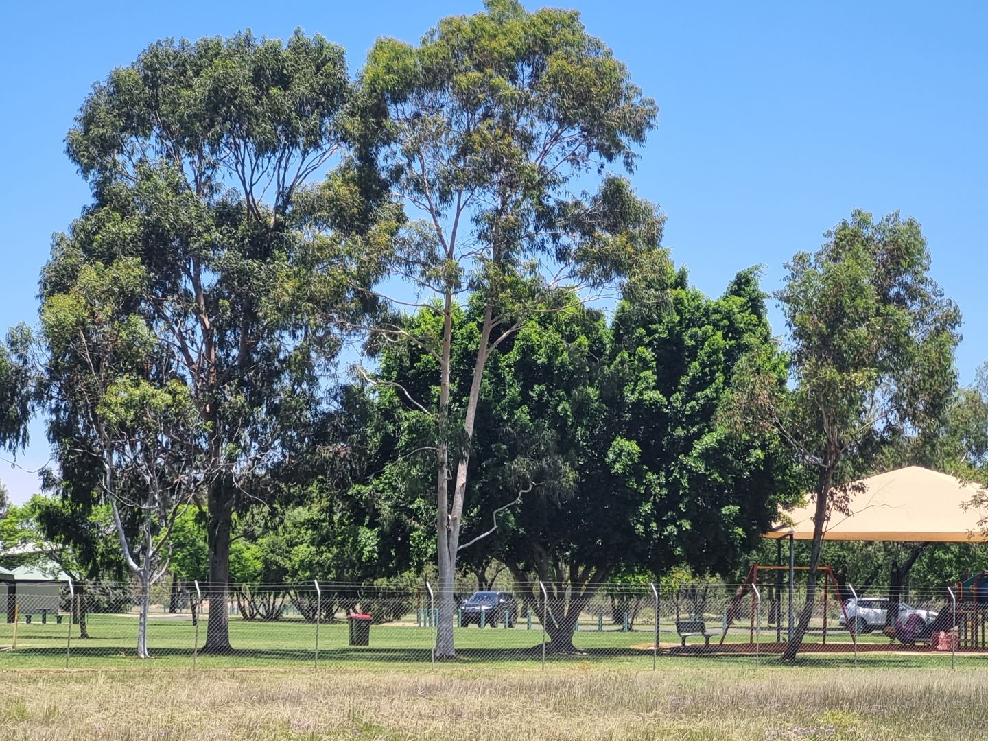 Water Park Estate, Goondiwindi QLD 4390, Image 2