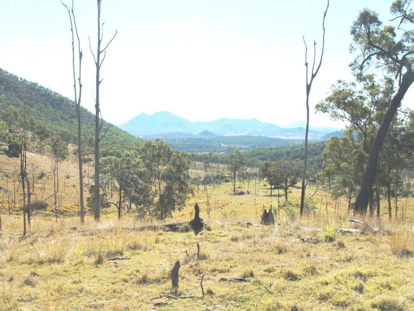 Croftby QLD 4310, Image 1