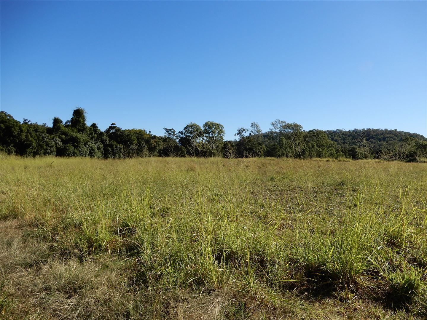 Sarina Range QLD 4737, Image 1