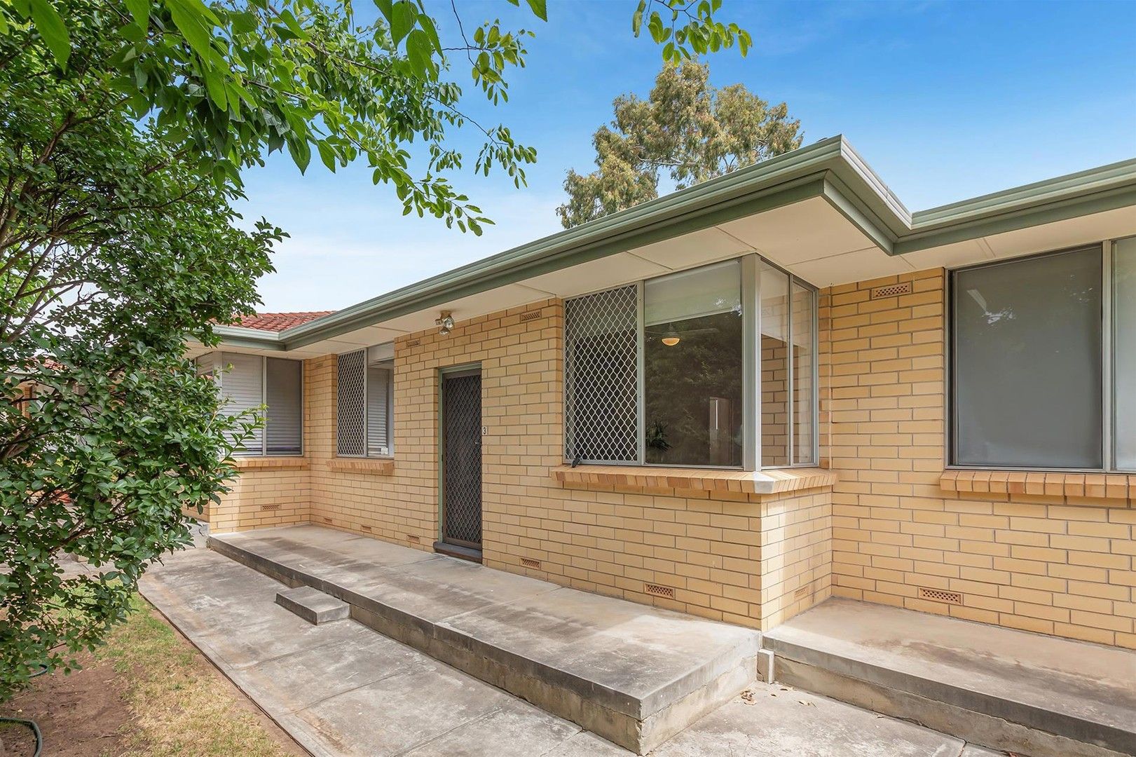 3/147 Third Avenue, Royston Park SA 5070, Image 0