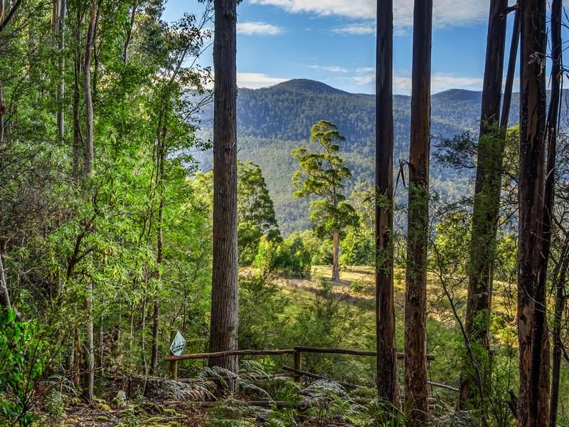 Lot 1 Lords Road, Pelverata TAS 7150, Image 2