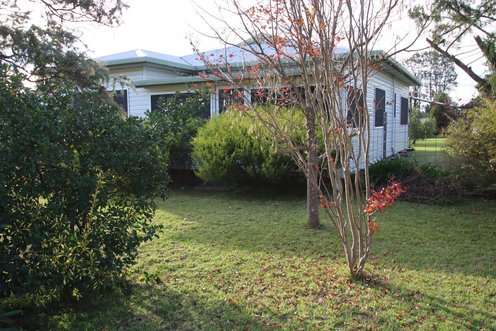 44 Clive Street, Tenterfield NSW 2372, Image 2