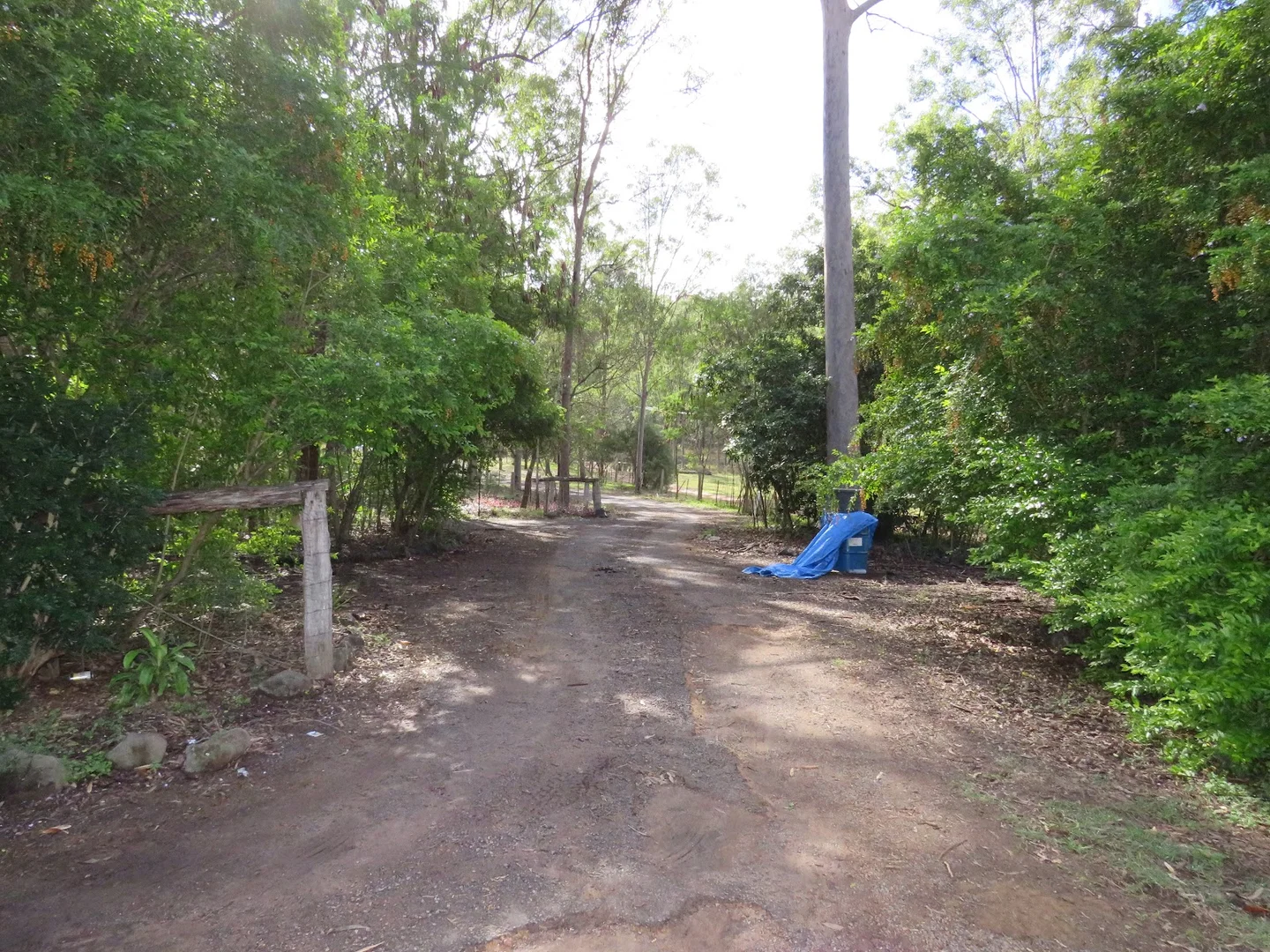 Image 10