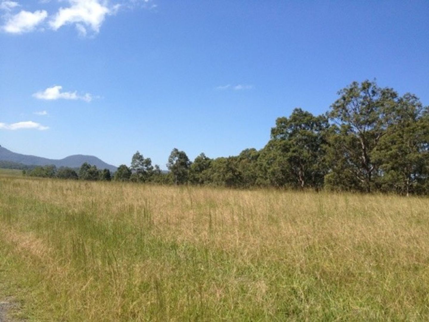 Lot 2 Glen Ayr Road, Girvan NSW 2425, Image 1