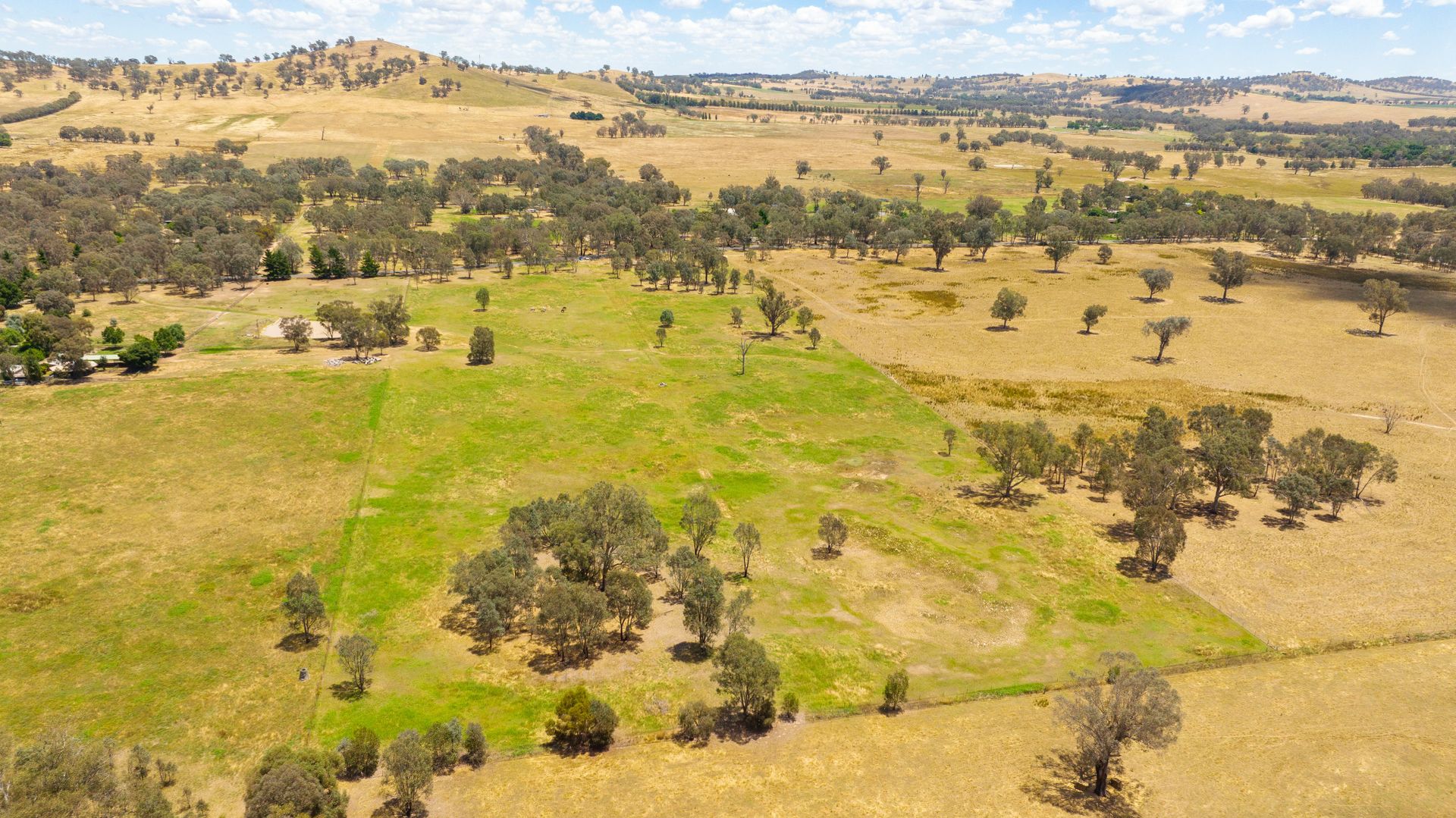 Lot 3/81 Bungowannah Road, Jindera NSW 2642, Image 2