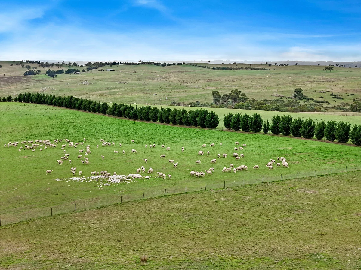 Additional image 2 of 396 Fullerton Road, Laggan, Crookwell NSW 2583