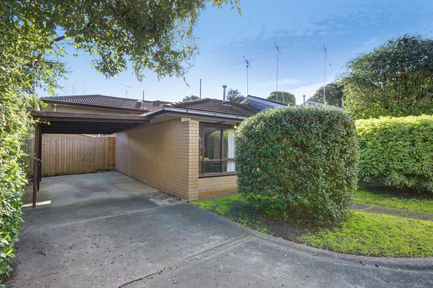 5/56 Iona Avenue, Belmont VIC 3216, Image 0