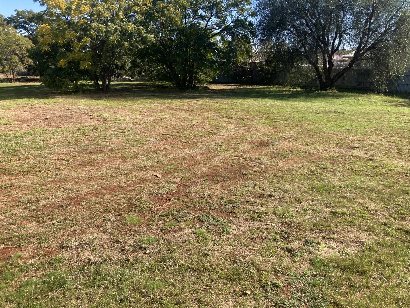 Image 14