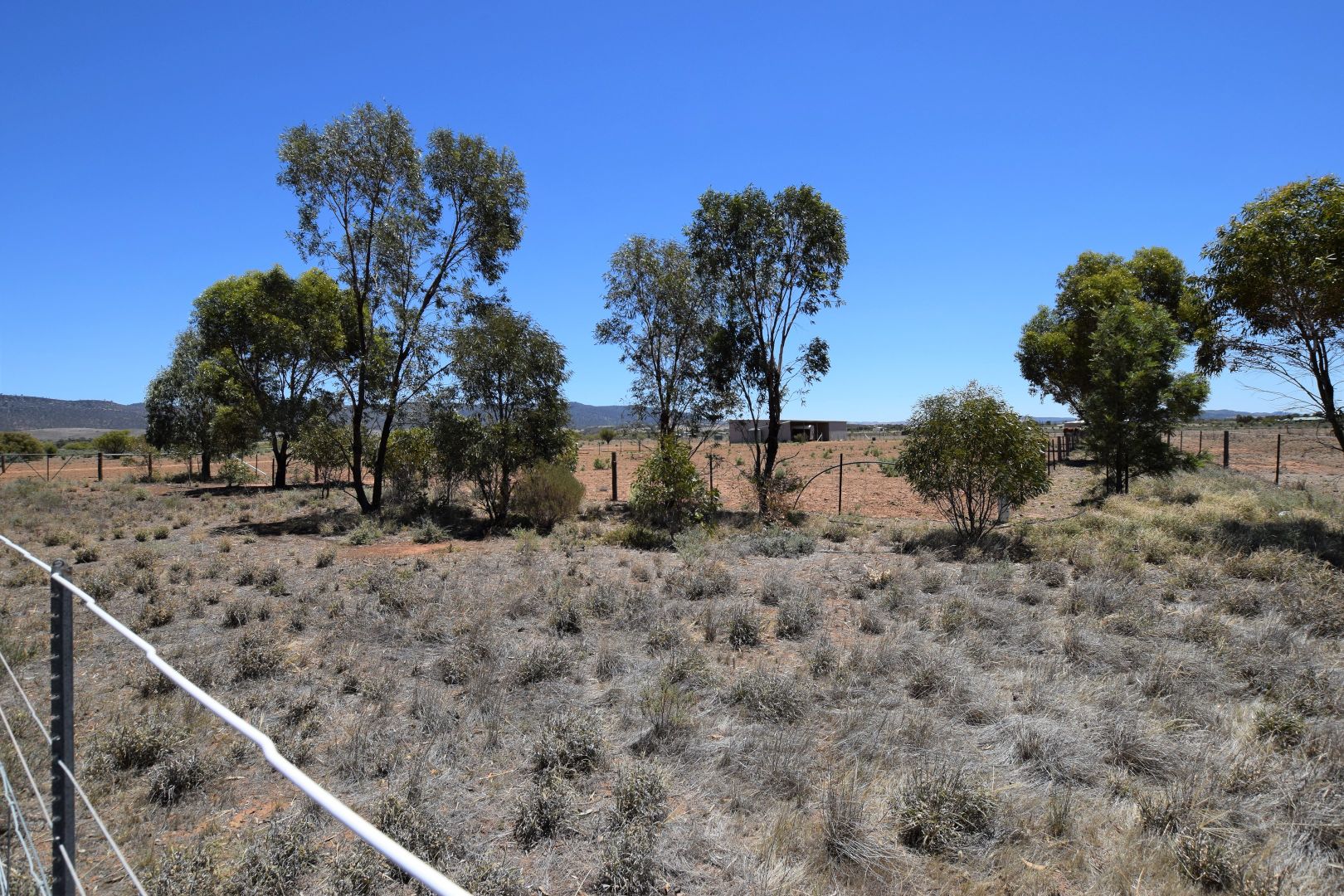 Lot 109 McConville Road, Quorn SA 5433, Image 2