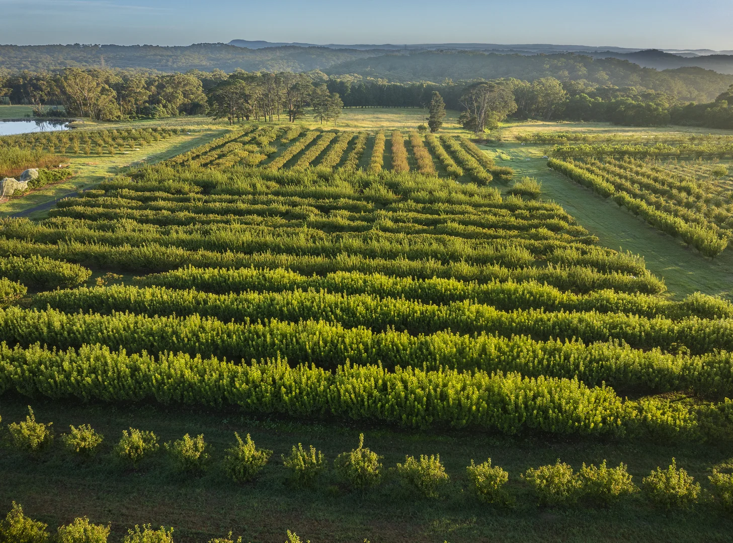 Additional image 16 of 1266 George Downes Drive, Kulnura NSW 2250