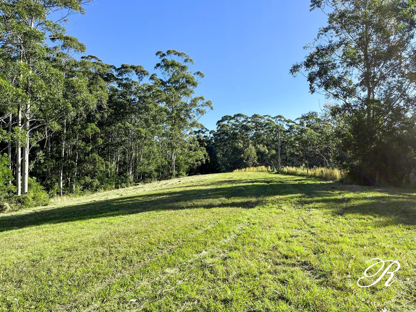 562 Newmans Road, Wootton NSW 2423 House for Sale Domain