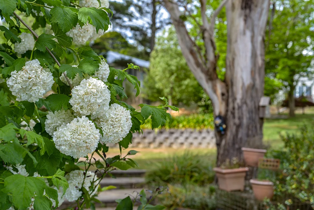 Additional image 18 of 20 Forwood Crescent, Bundanoon NSW 2578