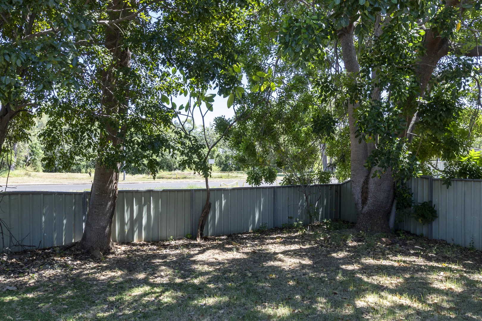 Image 11