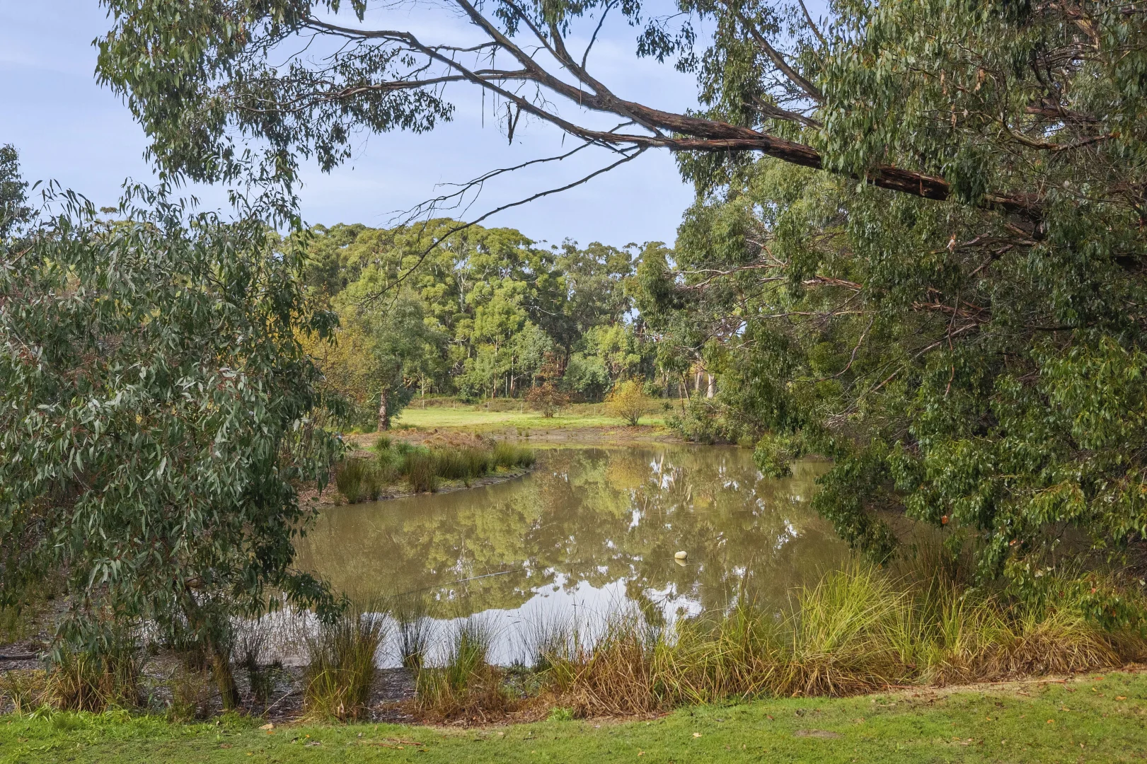 Image 15