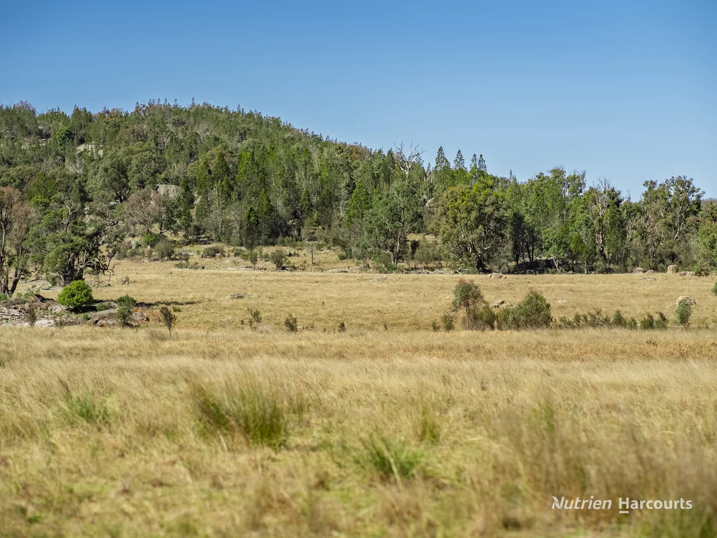 Additional image 36 of Rocky Glen Road, Kingstown NSW 2358