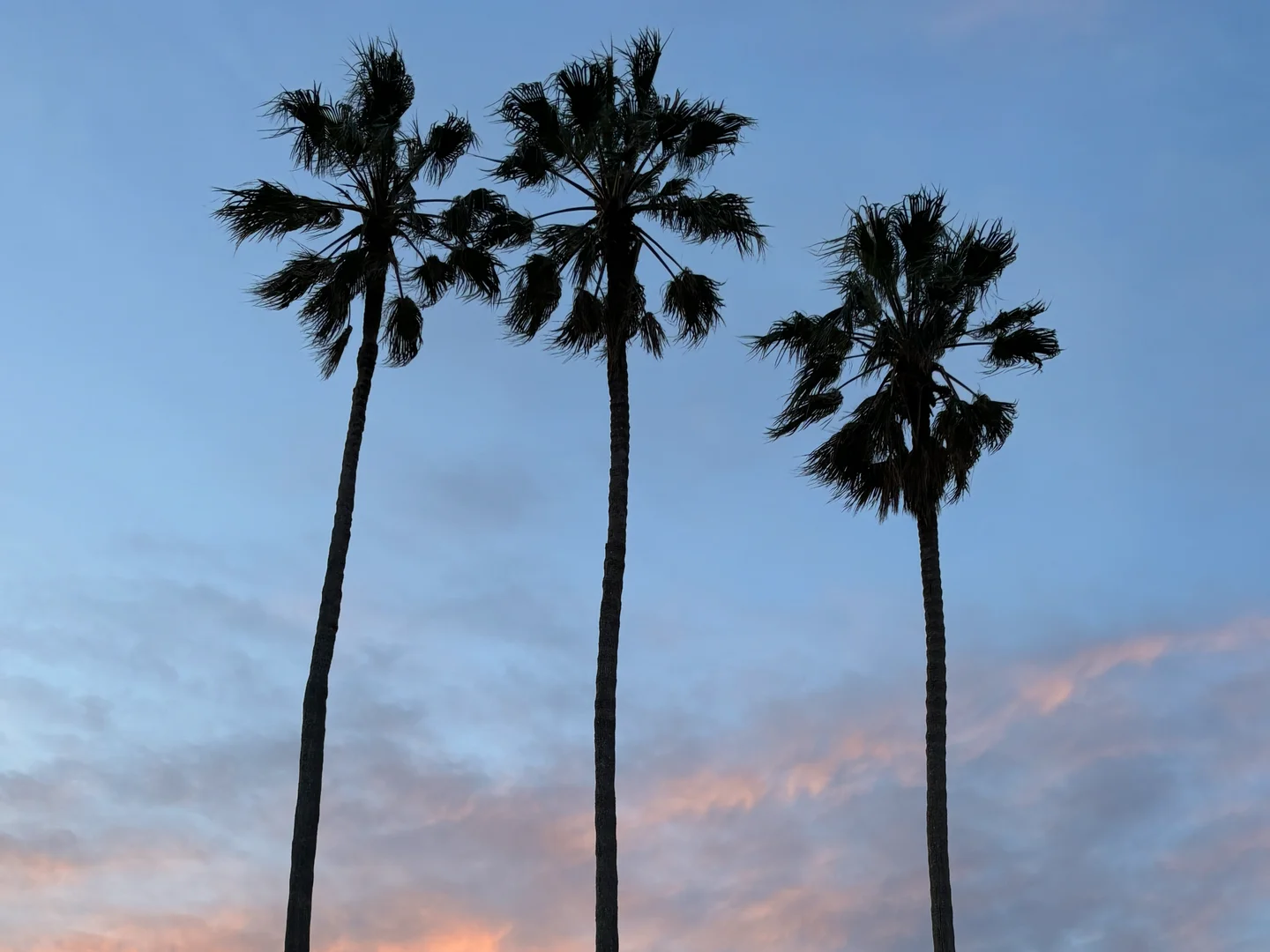 Image 18