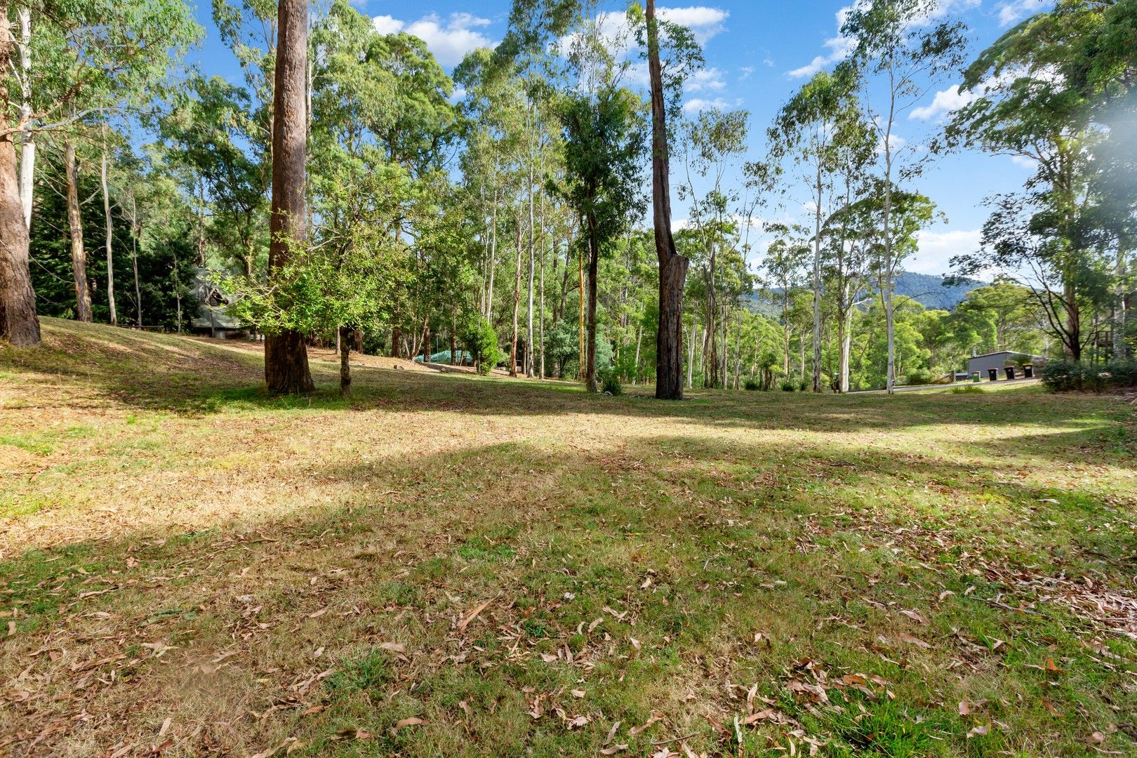 2 Man Court, Sawmill Settlement VIC 3723 Domain