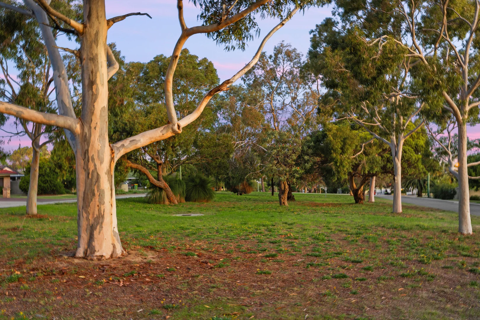 Image 25