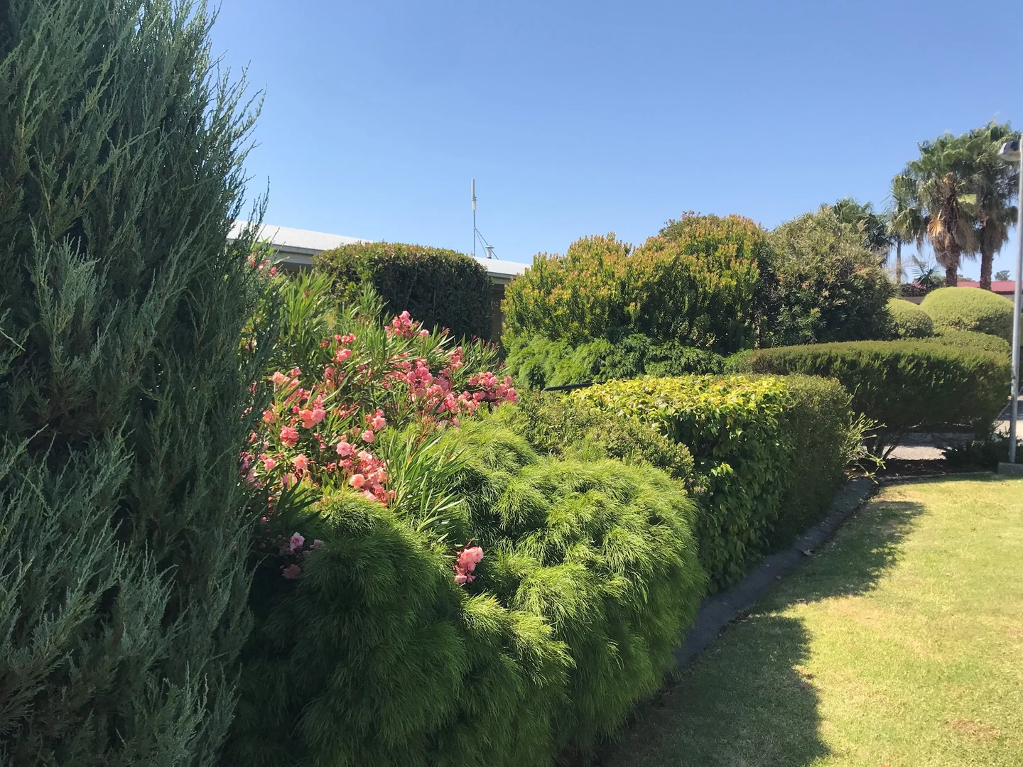 Image 14