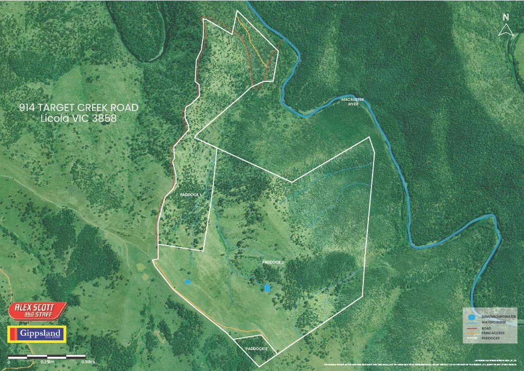 Additional image 7 of Lot 4 - 914 Target Creek Road, Licola VIC 3858