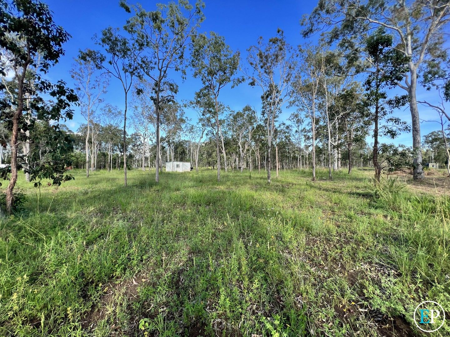 298 Millstream Parade, Millstream QLD 4888 Domain