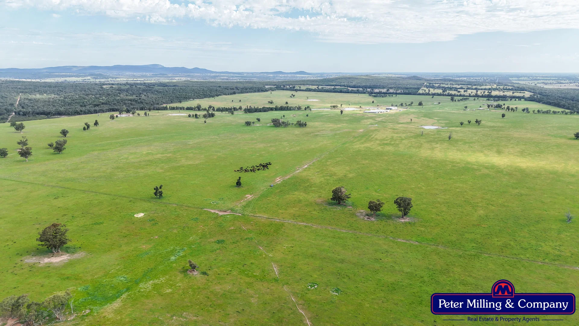 Additional image 9 of "Katella" 7878 Newell Highway, Tomingley NSW 2869