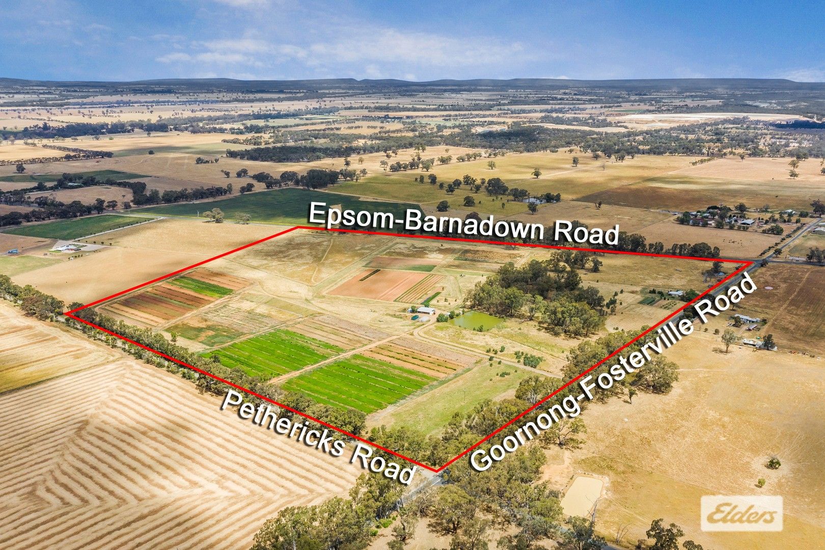 421 GoornongFosterville Road, Goornong VIC 3557 House for Sale