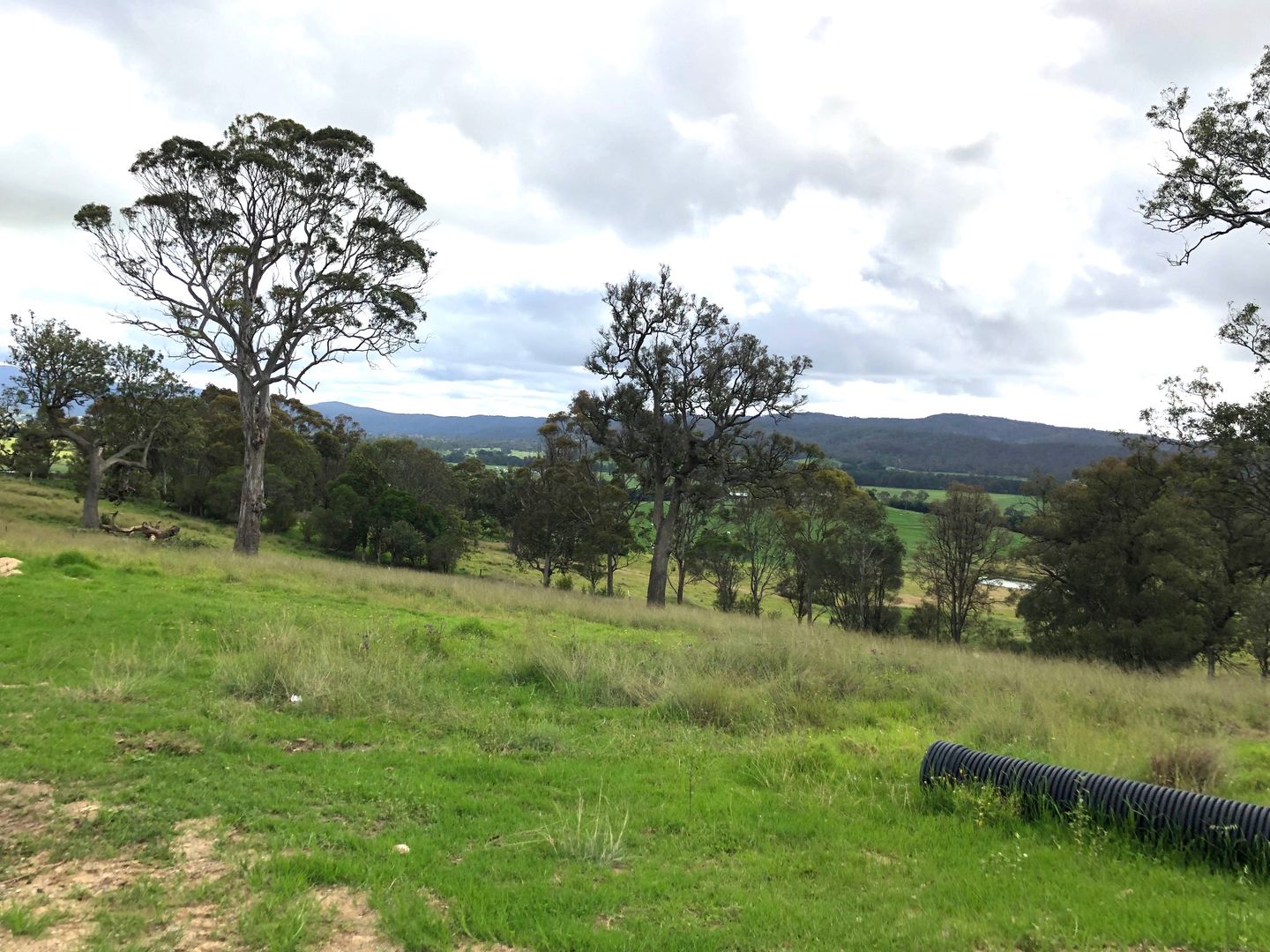 Lot 195 "Spanish Oaks" Kerrisons Lane, Bega NSW 2550, Image 2