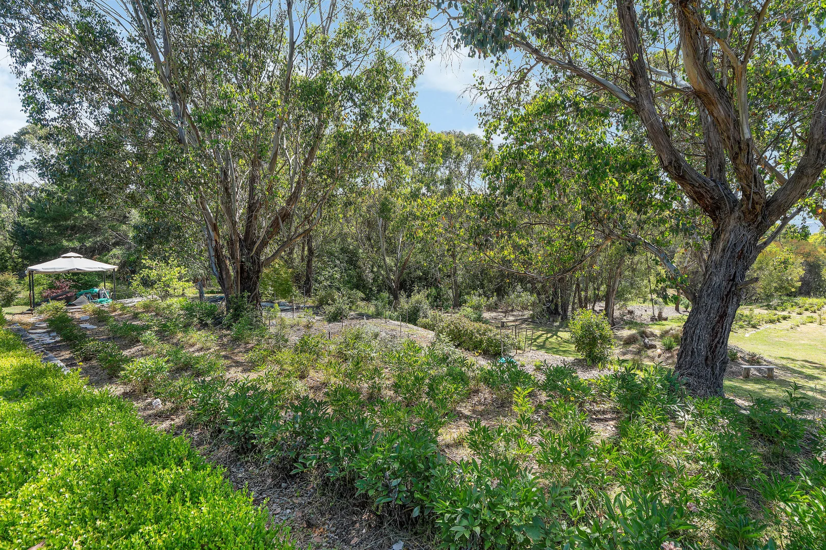 Additional image 10 of 107 Mill Road, Batlow NSW 2730