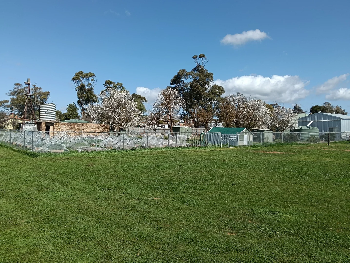 Image 14