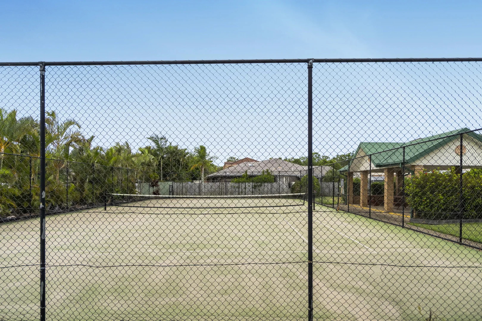 Image 15