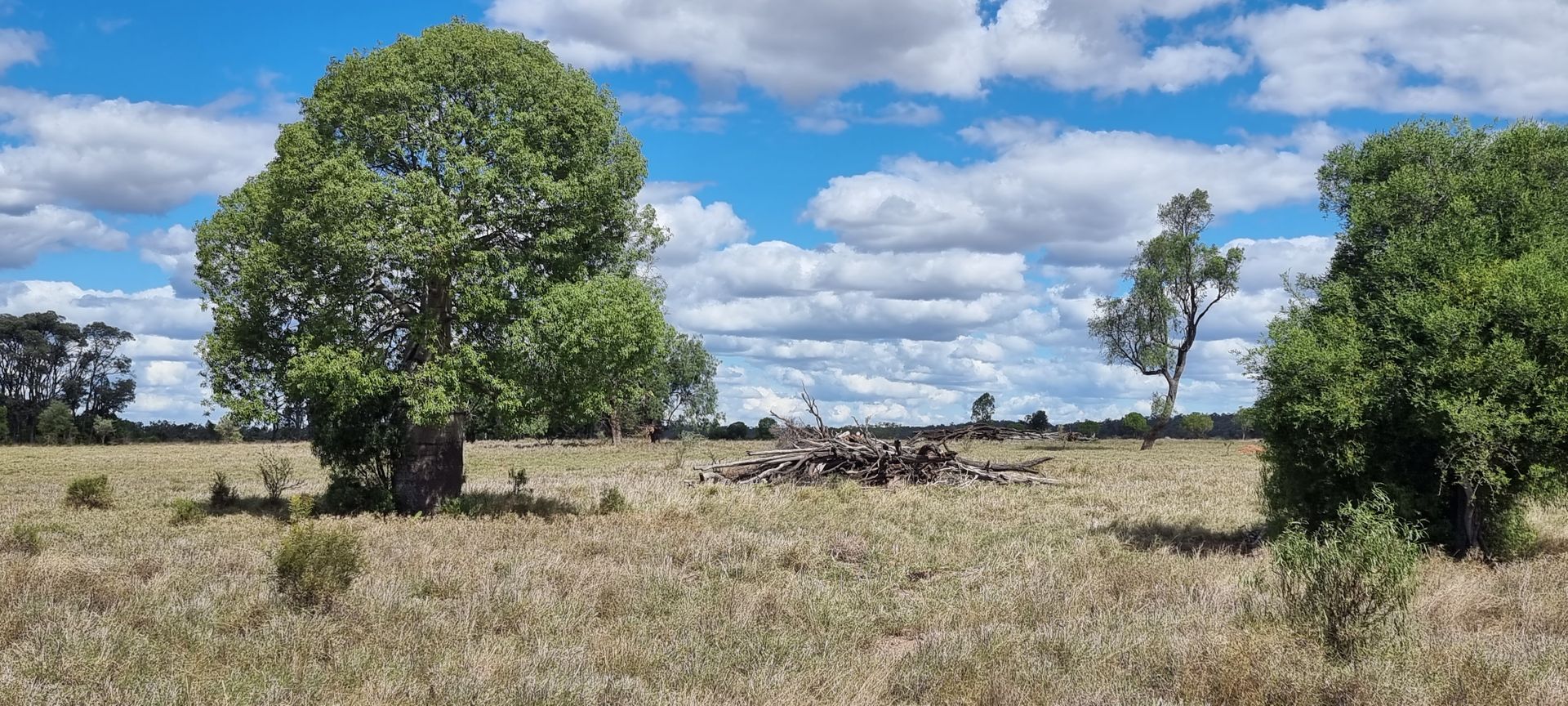 Perola Park, Wallumbilla QLD 4428 House for Sale Domain