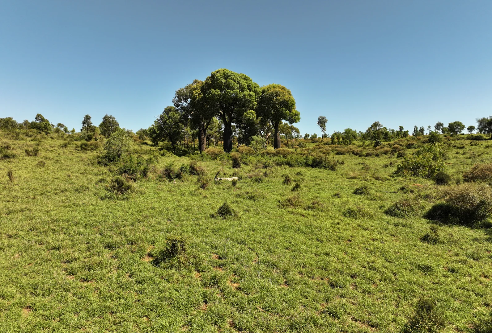 Additional image 9 of 3752 Mitchell Forest Vale Road, Mitchell QLD 4465