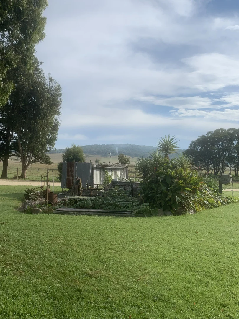 Image 15