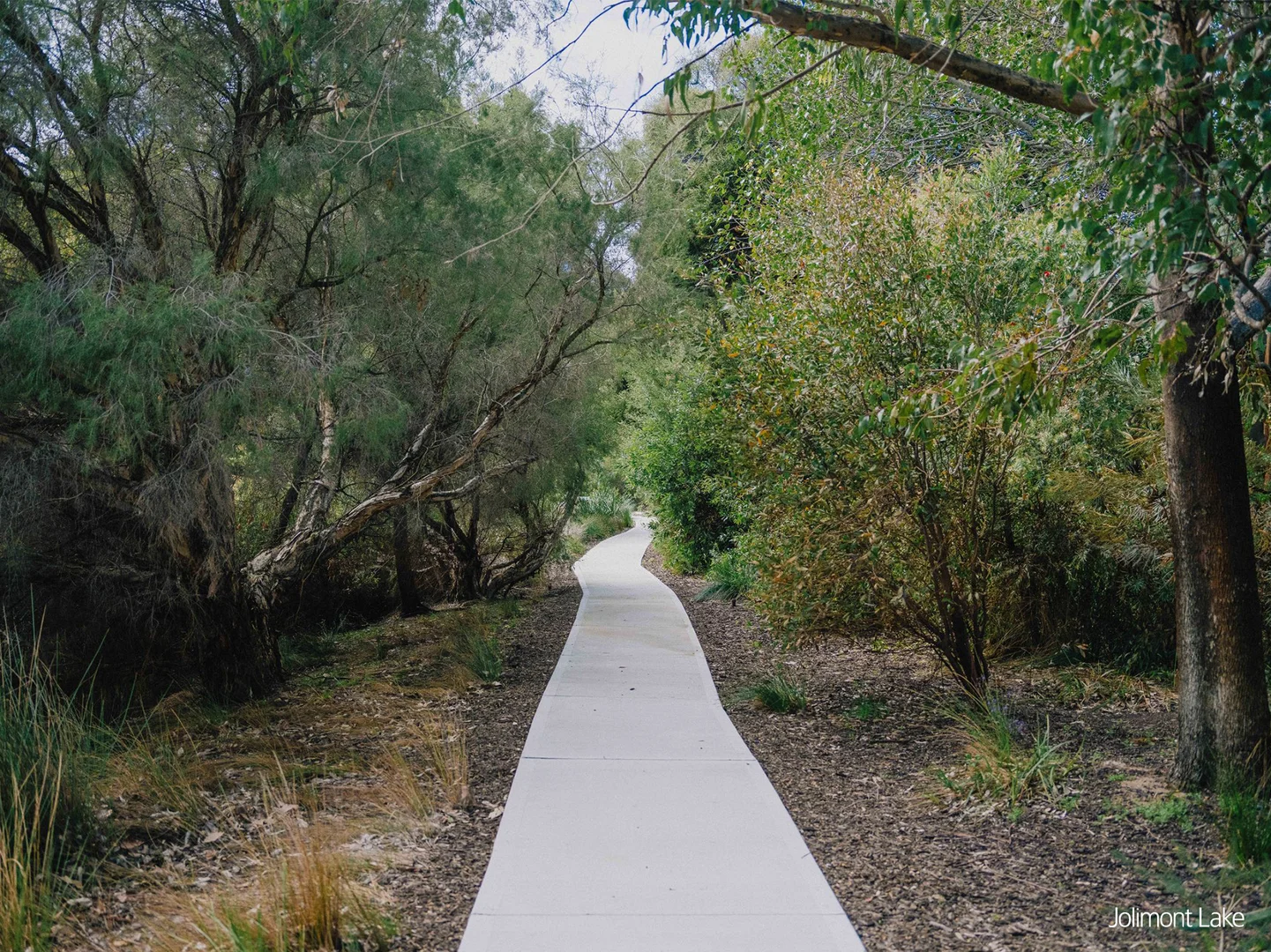 Image 8