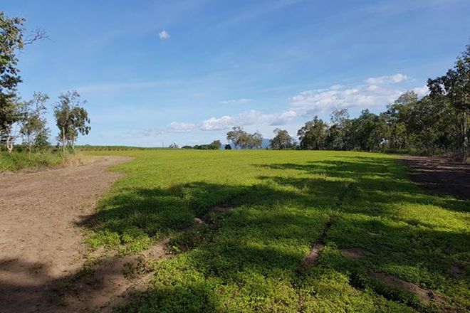 Picture of Lot 21 Mount Martin Loop Road, MIRANI QLD 4754