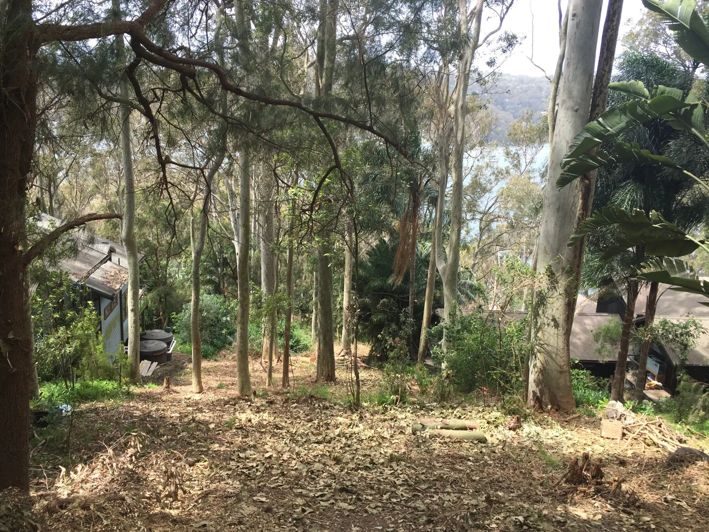 Image 6