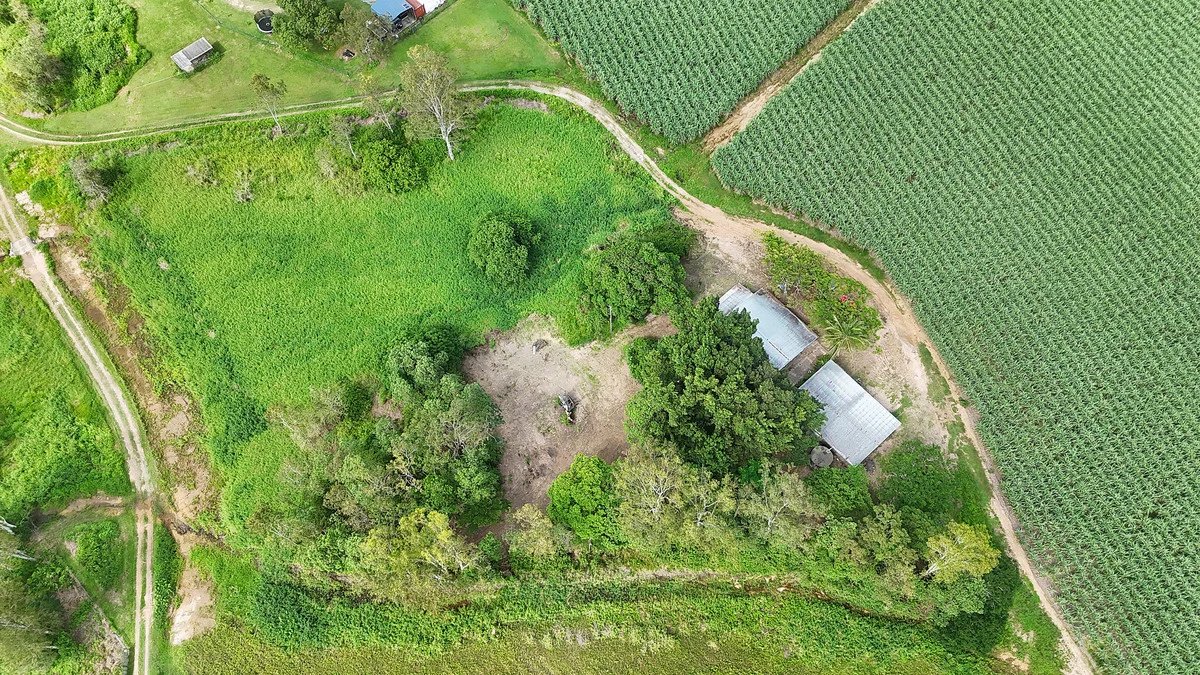 Additional image 27 of 988 Mount Martin Loop Road, Mount Martin QLD 4754