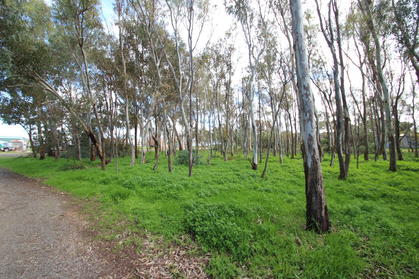 Allotment 13 Sancreed Street, Burra SA 5417, Image 0