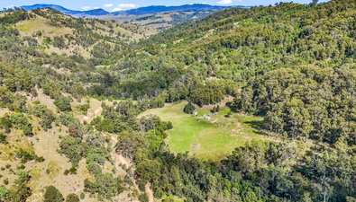 Picture of Lot 127 / 2642 Carrowbrook Road, SINGLETON NSW 2330