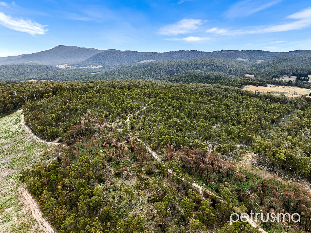 Additional image 9 of 315 Levendale Back Road, Levendale TAS 7120