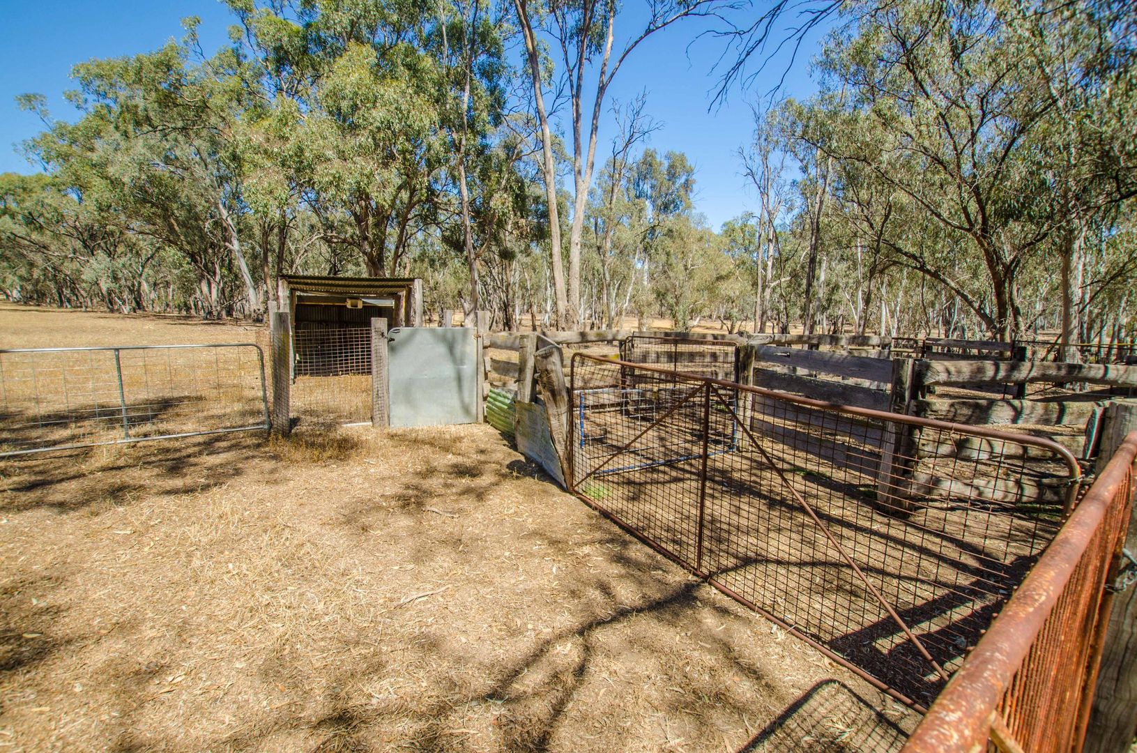 00 McKee Road, Echuca Village VIC 3564, Image 2