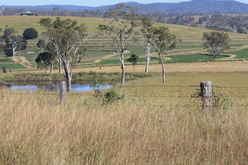 TANSEY QLD 4601, Image 0