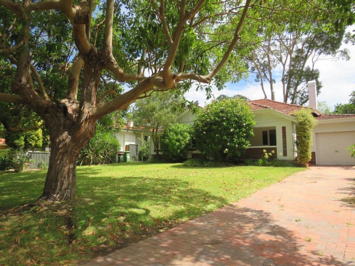 53 Mountjoy Road, Nedlands WA 6009 House For Rent 800 Domain