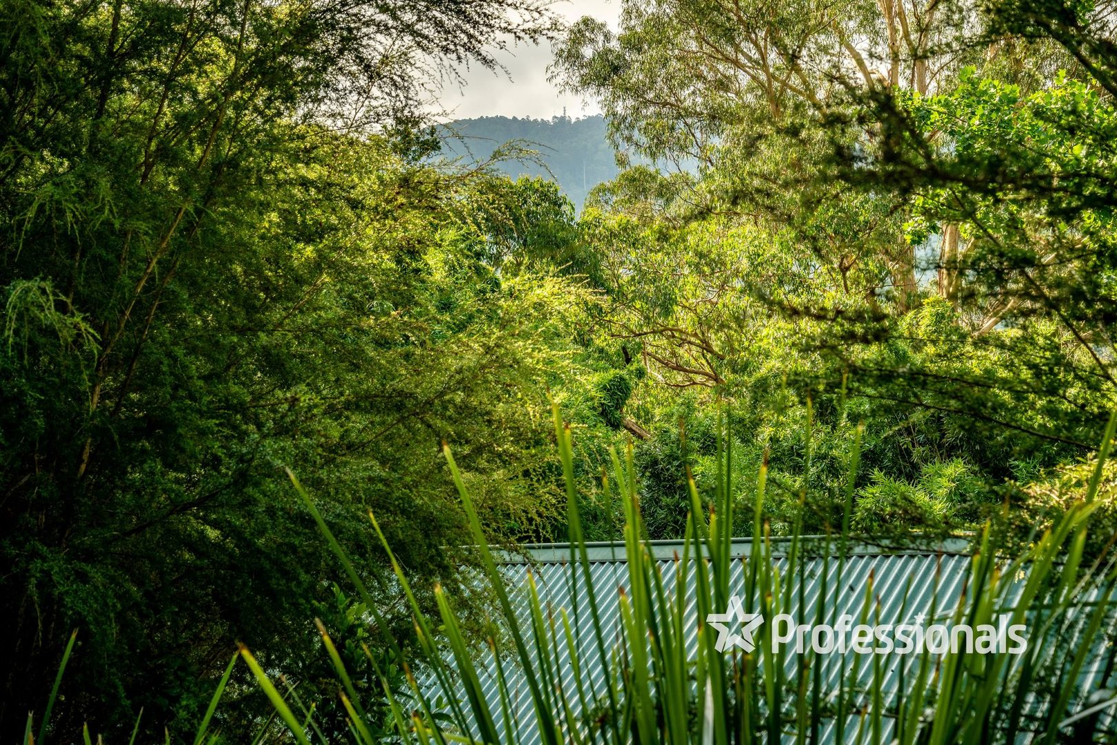 45 Riverside Drive, Warburton VIC 3799 | Domain