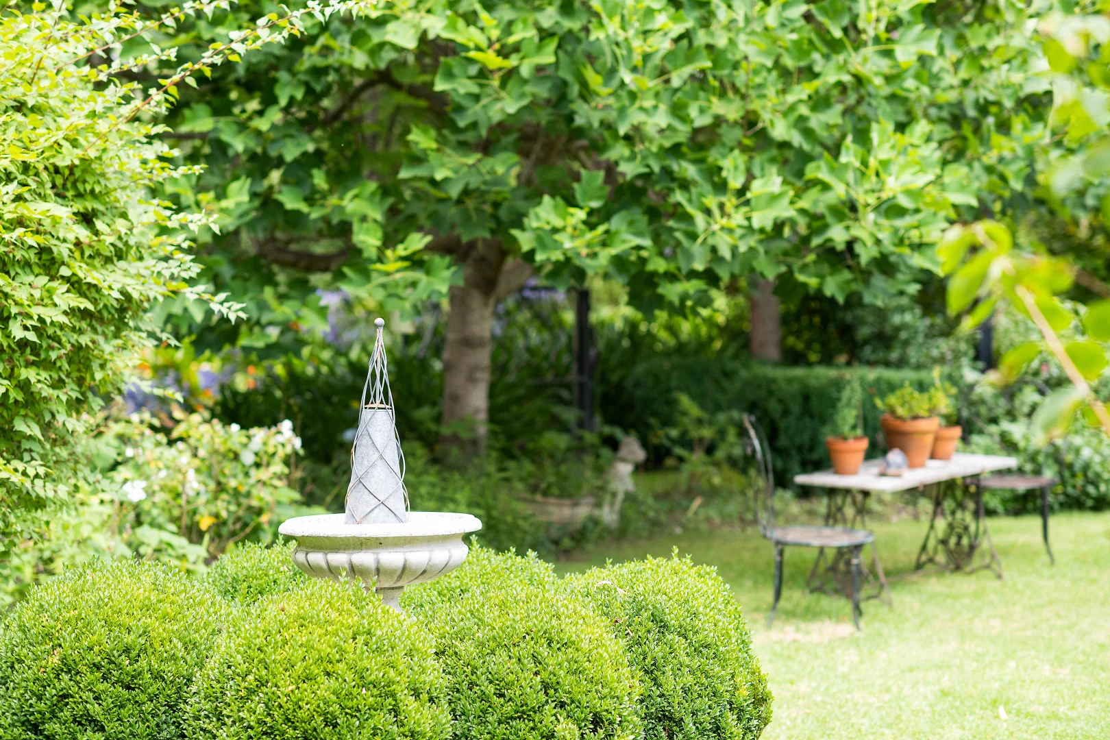 Image 17