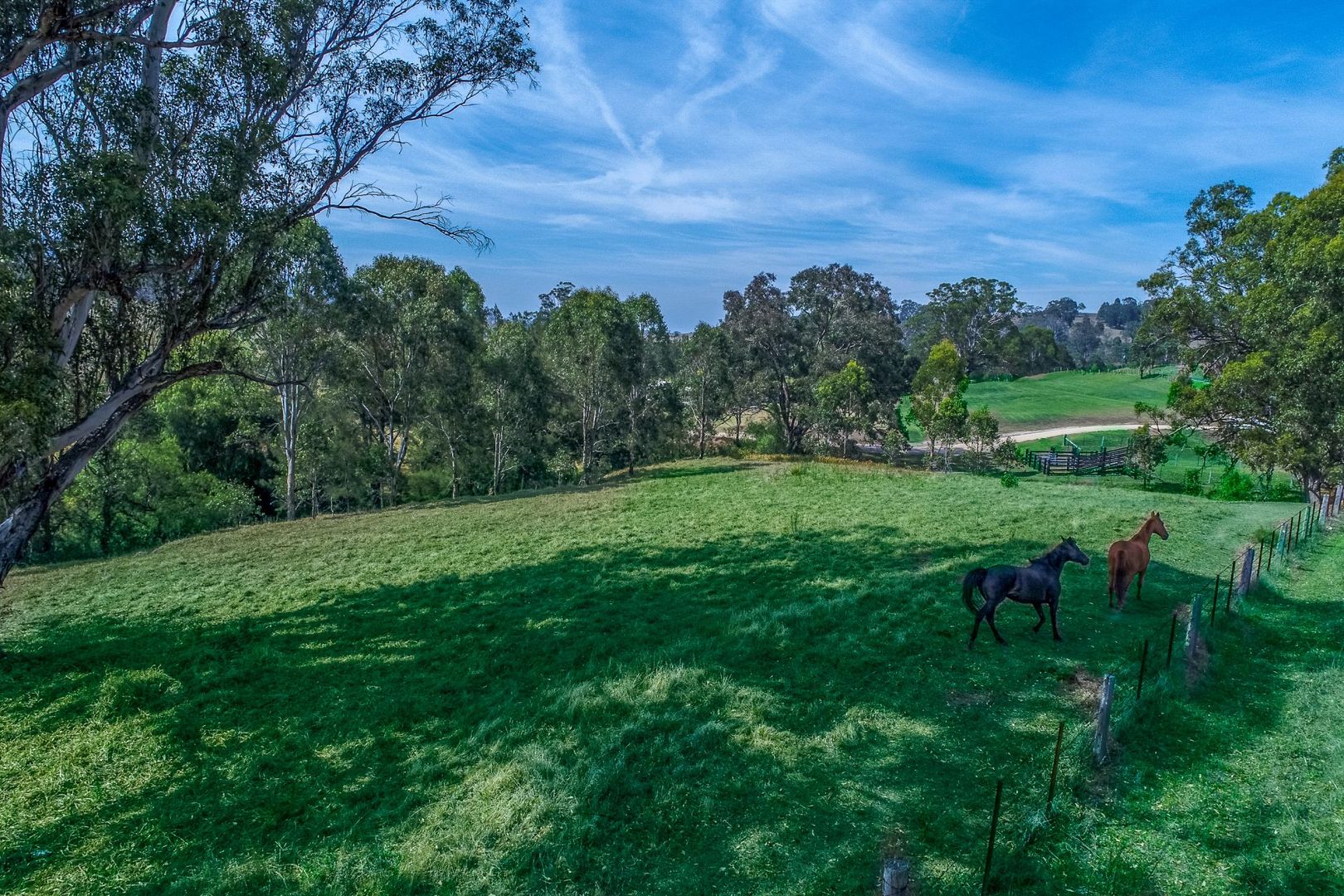 320 Goorangoola Creek Road, Singleton NSW 2330, Image 1