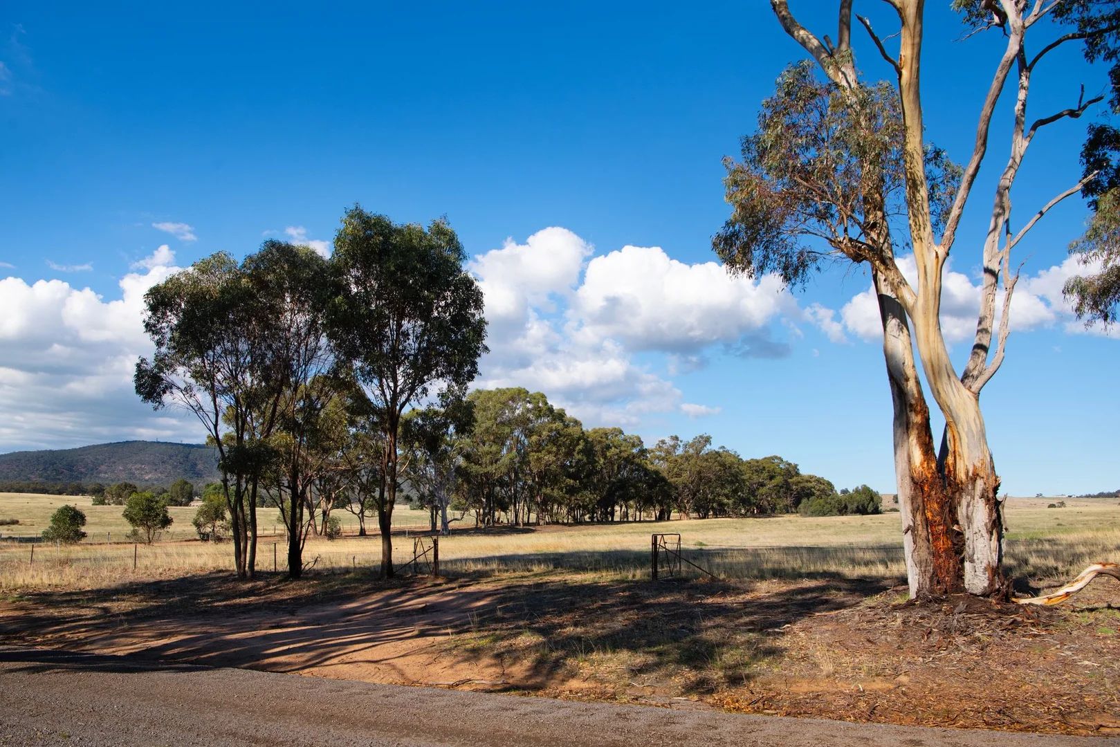Additional image 3 of 135 Tarrengower School Road, Tarrengower VIC 3463