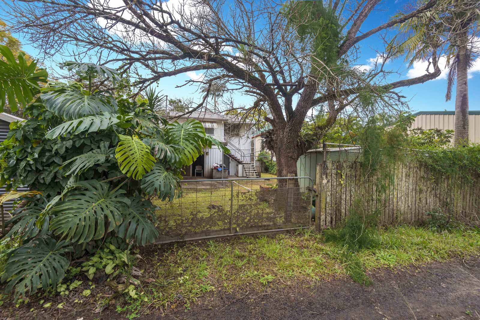 38 Phyllis Street, South Lismore NSW 2480, Image 1