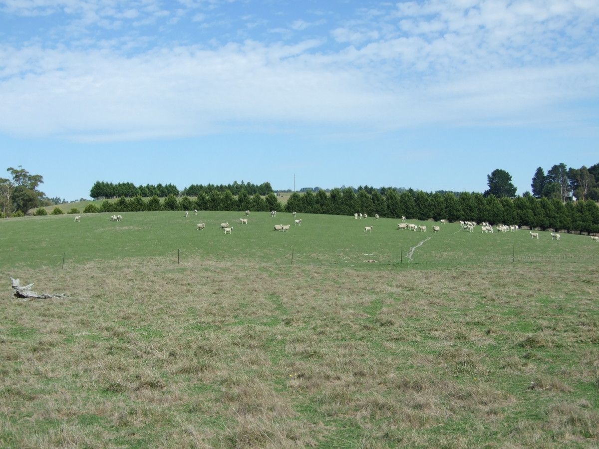 Lot 2 McGraths Track, Hernes Oak VIC 3825, Image 0